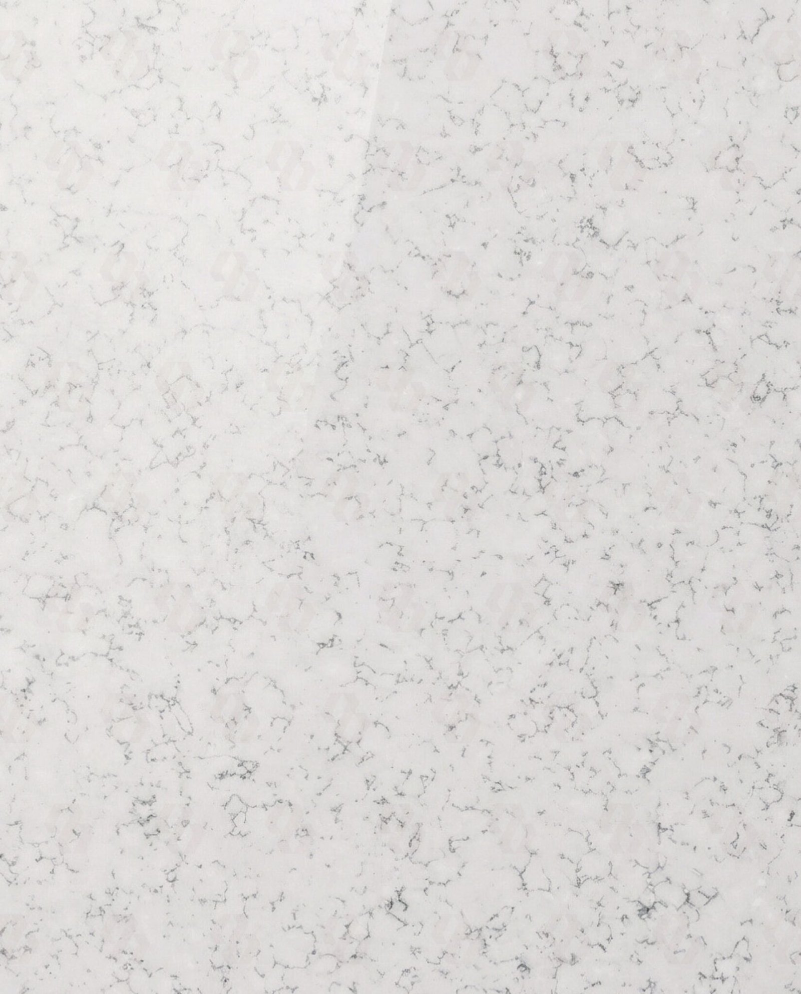 arctic-grain-quartz-scallop