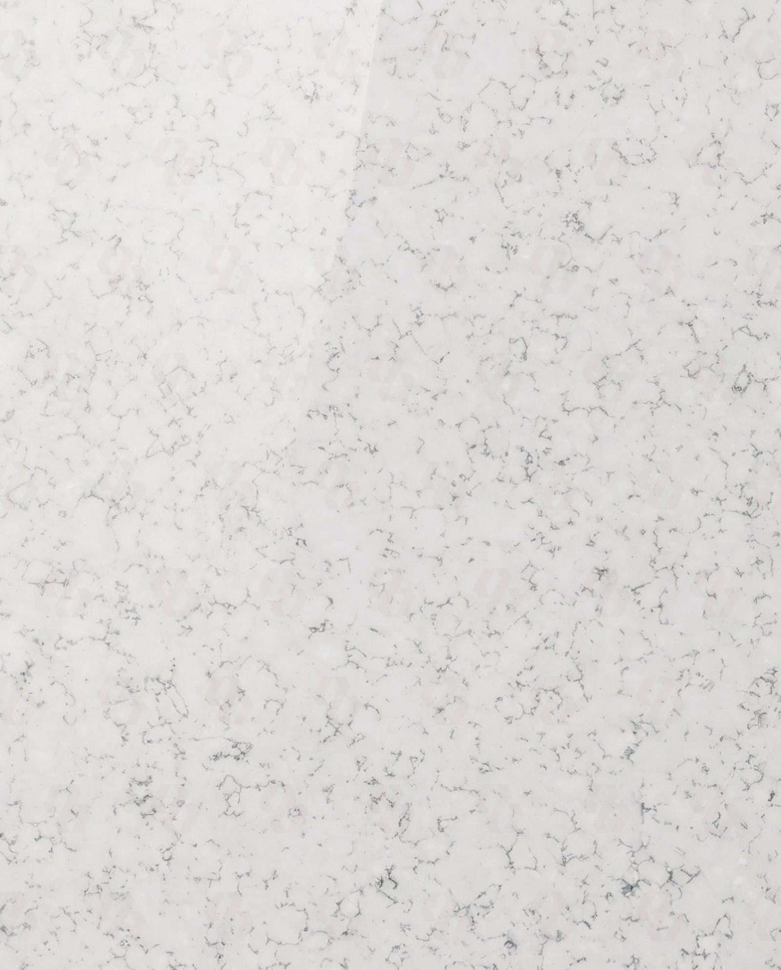 Arctic Grain Quartz(Scallop)Arctic Grain Quartz(Scallop)