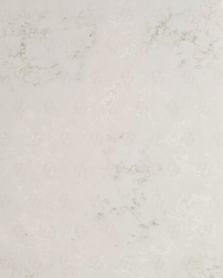 Bianco Fossil Quartz (Hermes)