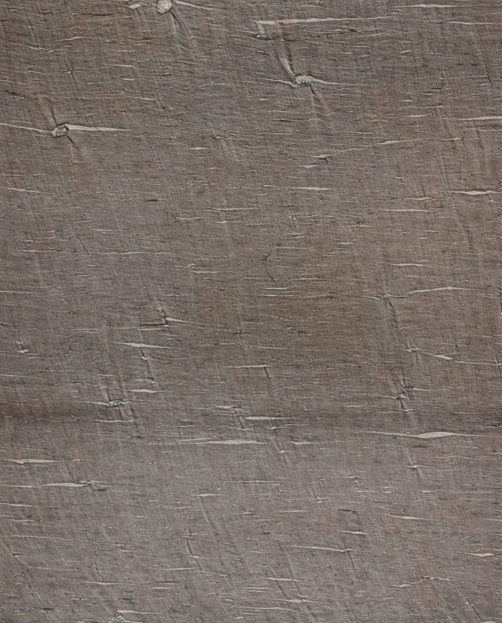 meteor-shower-quartzite