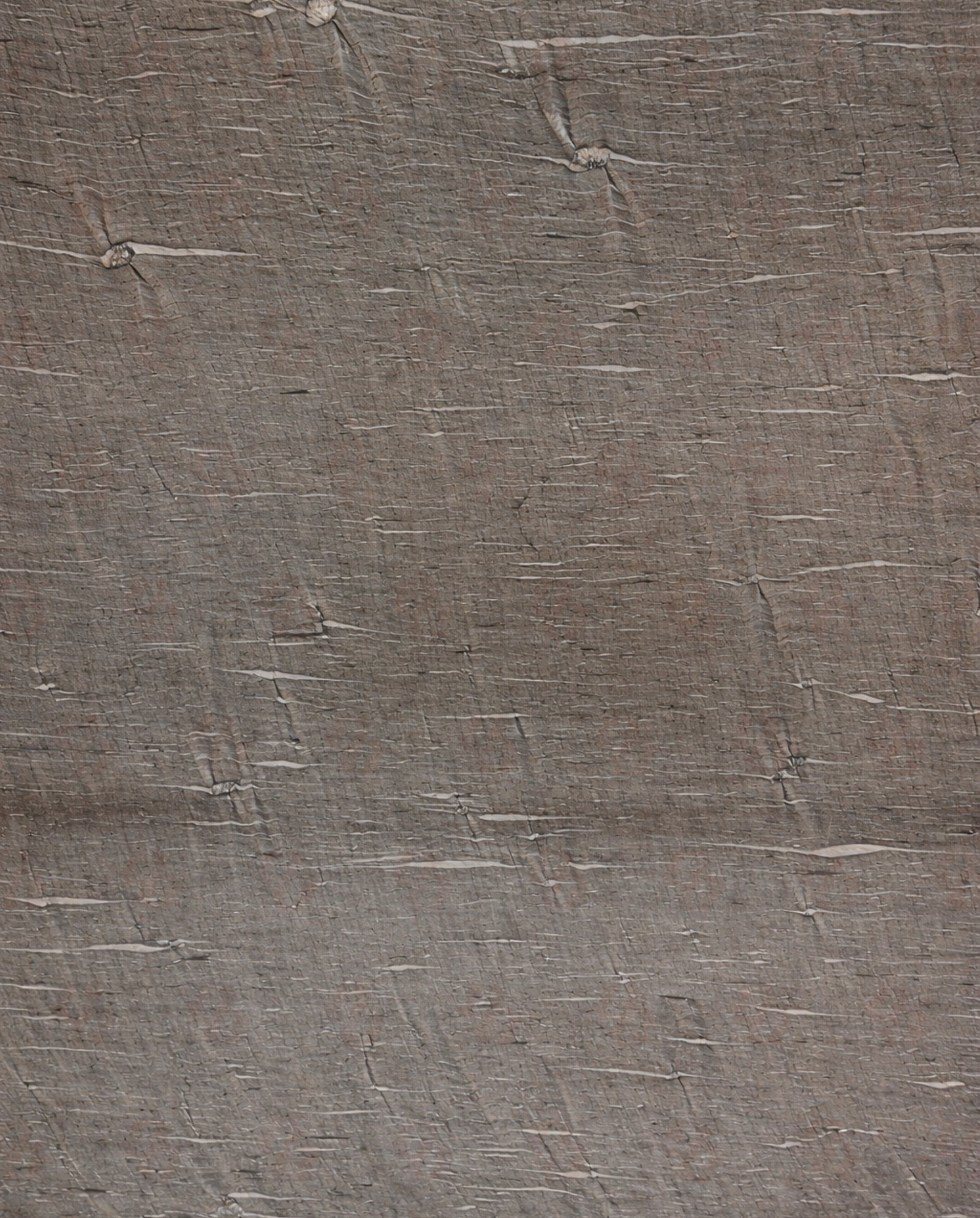 Meteor Shower Quartzite