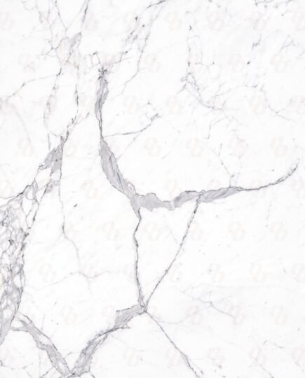 Close-up of Statuario Venato marble texture showing delicate veining