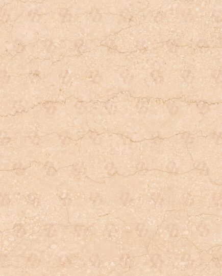 Italian Botticino Classico marble close-up showing natural fossil texture