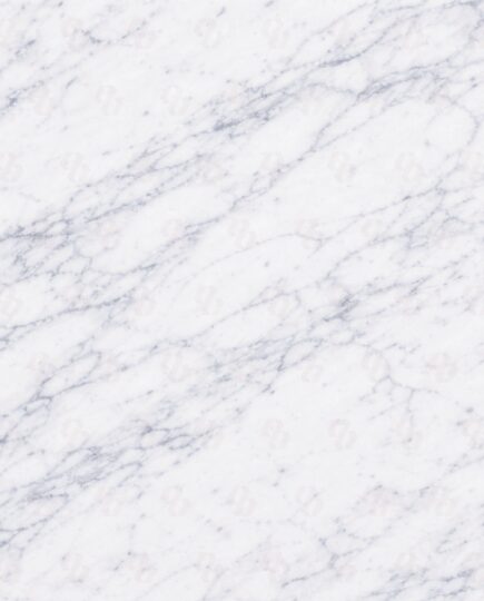 High-resolution close-up of Carrara Gioia Marble showcasing its soft grey veining and white background texture
