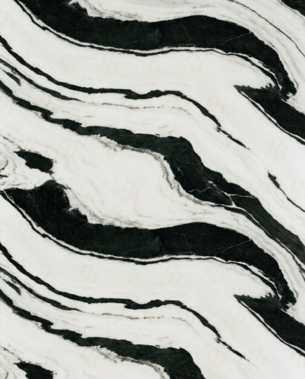 Panda White Marble close-up slab texture with bold black flowing veins on a bright white background