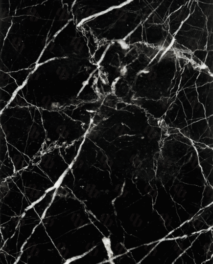 Nero Marquina Black Marble polished slab close-up showing deep black background and sharp white veining detail