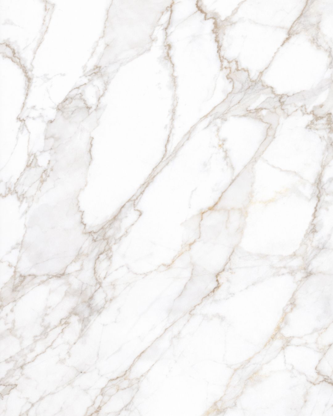 Calacatta Italian marble slab for Delhi projects